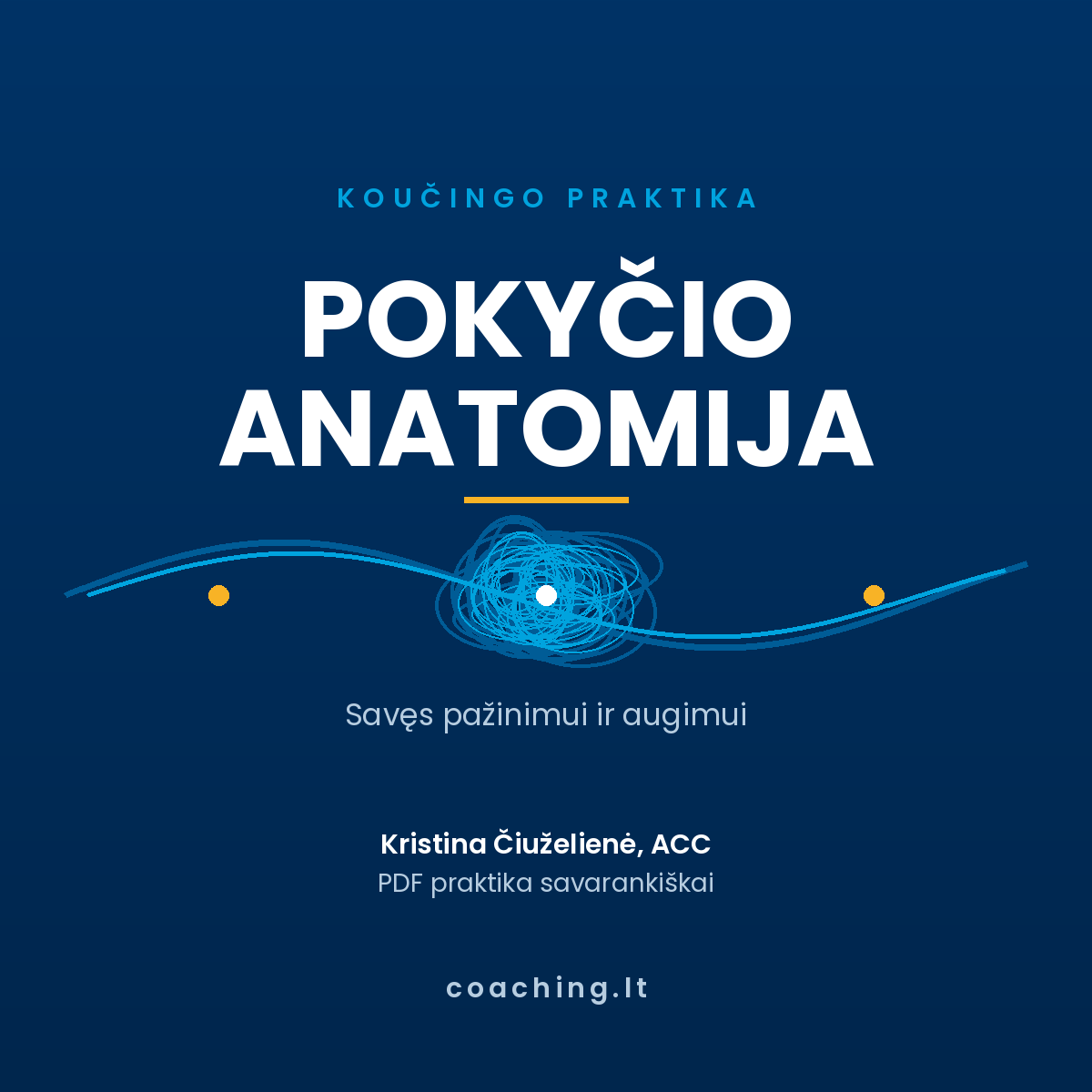 Pokyčio anatomija